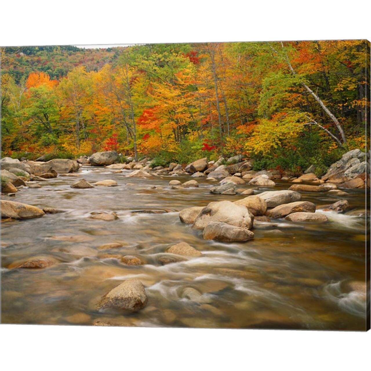 River flowing trough Forest in Autumn, White Mountains National Forest, New Hampshire by Adam Jones / Danita Delimont 20" x 16" Canvas Wall Art